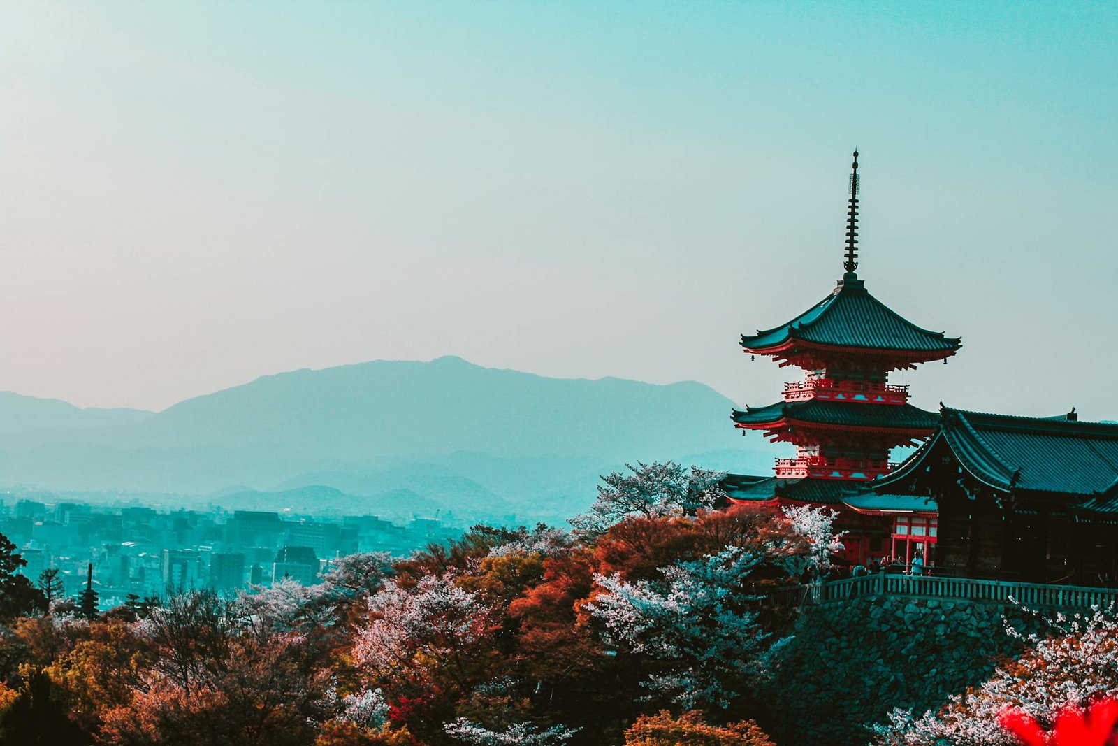 Top Reasons to Visit Japan in 2025
